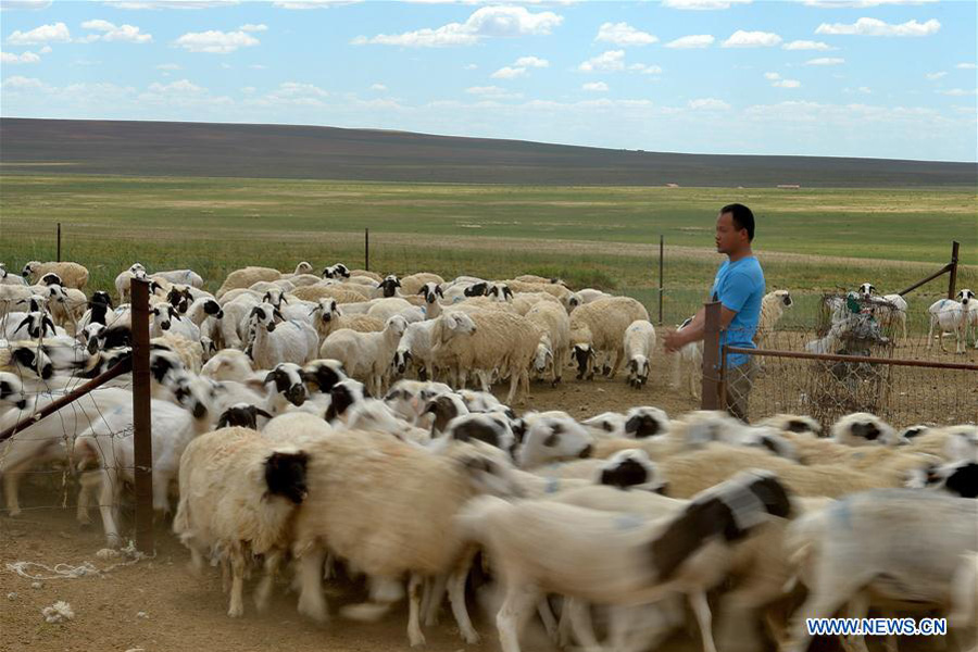 A glance at Inner Mongolia's better ecosystem