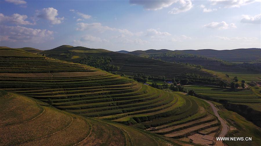 Scenery of terraces in NW China's Ningxia