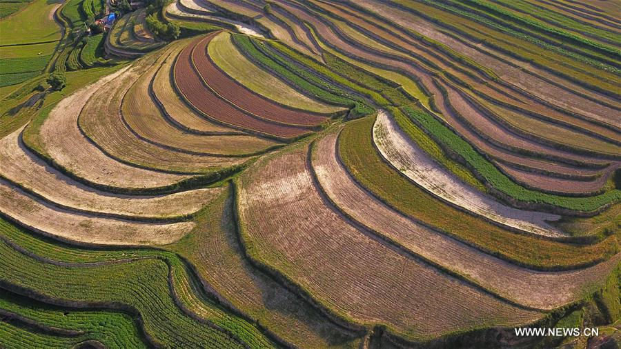 Scenery of terraces in NW China's Ningxia