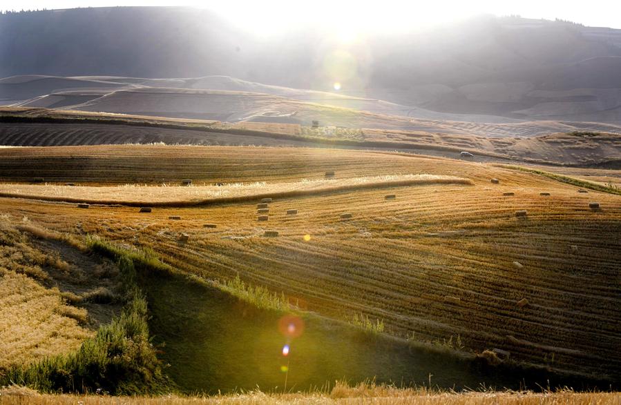 Golden autumn scene in Jiangbulake scenic area