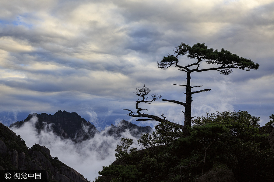 Breathtaking scenery of Huangshan Mountain after rain