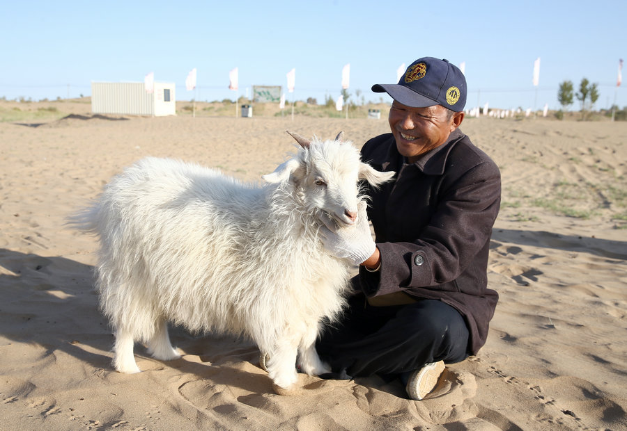 Transformation of Kubuqi Desert: From barren sand dunes to enchanting paradise