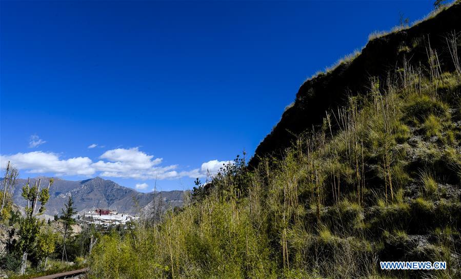 Scenery of Nanshan Park nearby Potala Palace in Lhasa