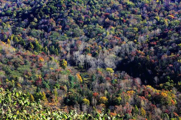 Jilin in autumn: Warm sunshine, bright colors and vibrant scenery