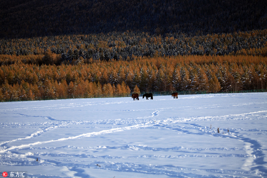 Beautiful snow scenery seen in Balikun county, China's Xinjiang