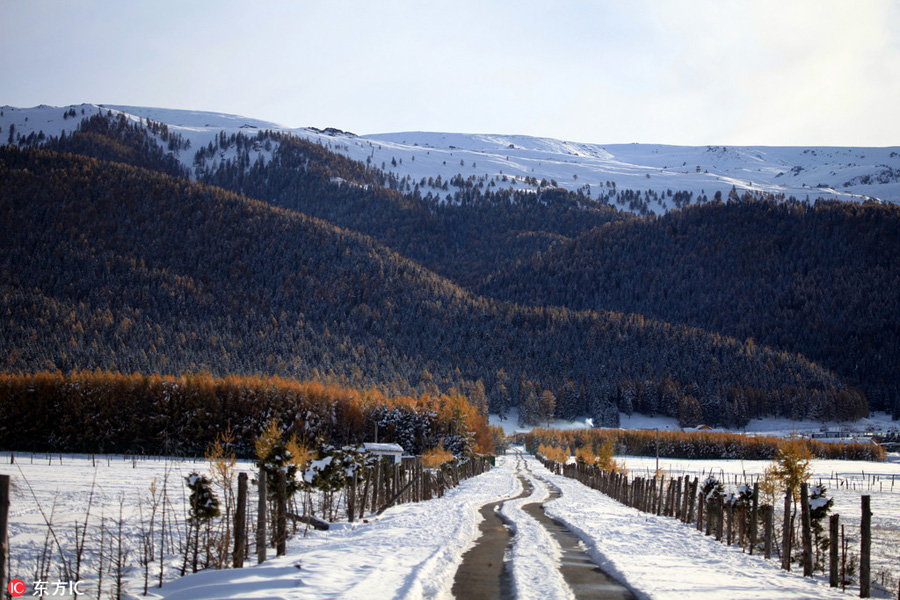 Beautiful snow scenery seen in Balikun county, China's Xinjiang