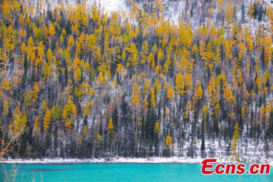 Kanas in Xinjiang at its colorful best