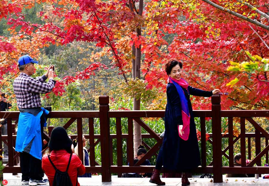 Beijing embraces vibrant colors of autumn