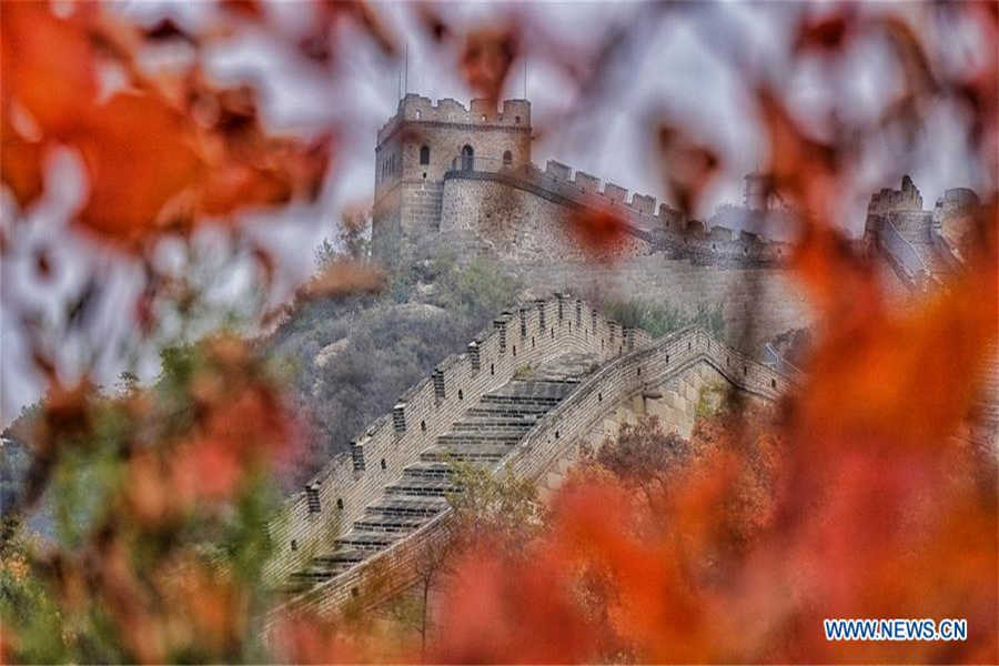 Stunning autumn scenery of Badaling National Forest Park