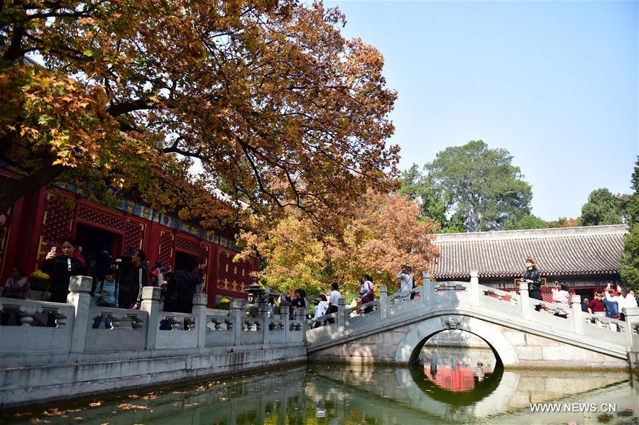 Red leaves enrich autumn palette of Fragrant Hills Park in Beijing