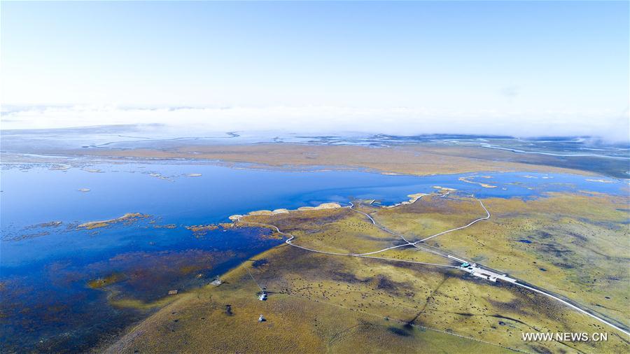 Autumn scenery of Ruoergai National Wetland Park in SW China