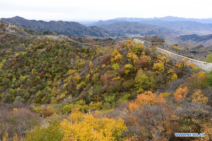 Autumn scenery of Beijing's Mutianyu Great Wall