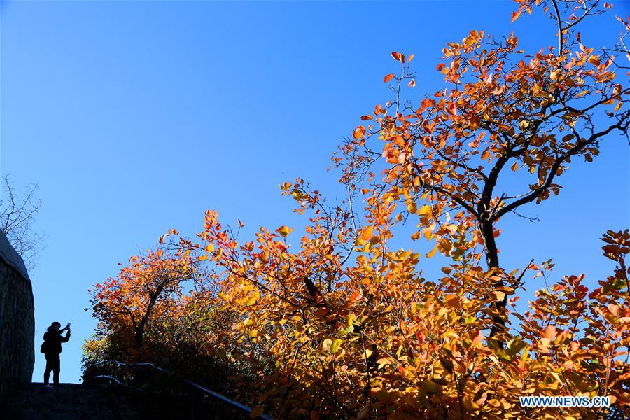 Autumn wonders around China: Photos that grasp the best moments of the season