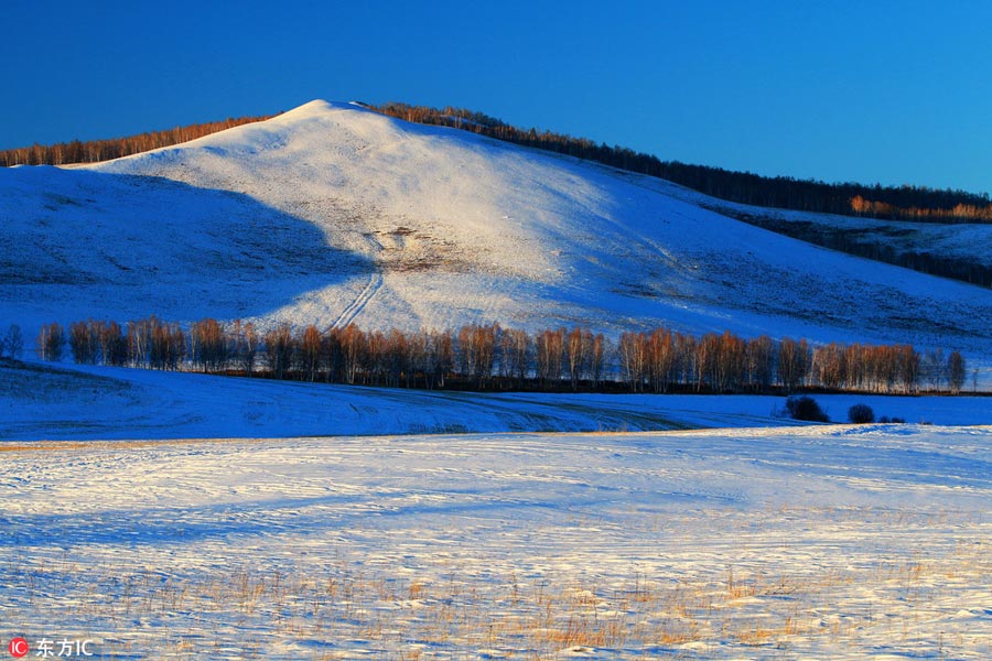 Winter scenery of Greater Khingan Range