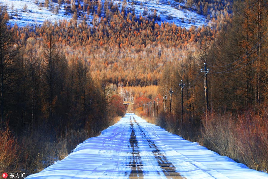 Winter scenery of Greater Khingan Range