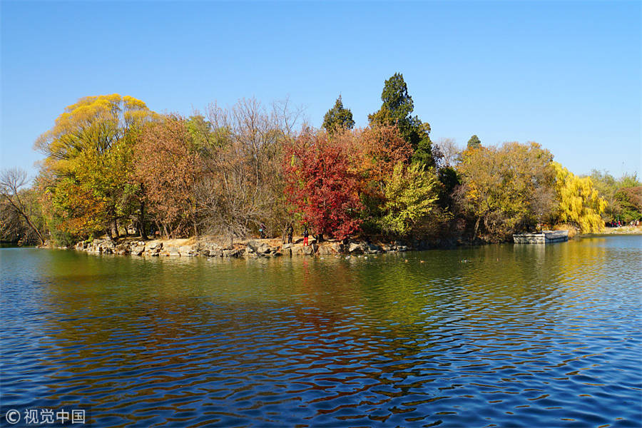 Charming campus scenery in Beijing