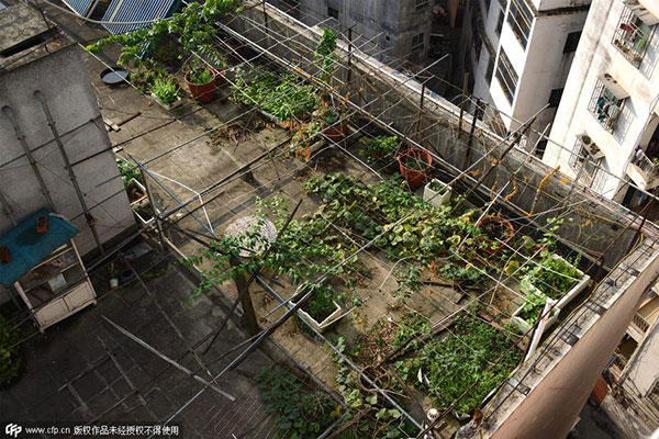 Shoddy balconies fall off building