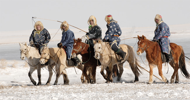 Iron steeds of the steppe