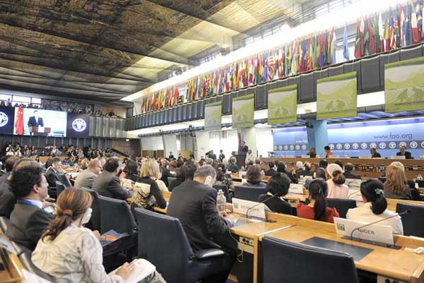 China to donate $50m to FAO