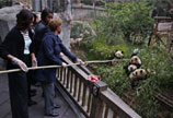 Chinese, Belgian heads of state launch panda house