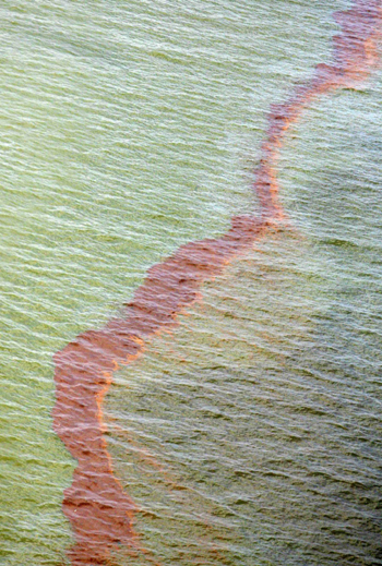 Obama sets up presidential commission for oil spill probe