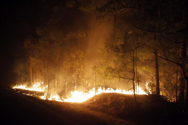 Texas wildfires destroy over 1,000 homes