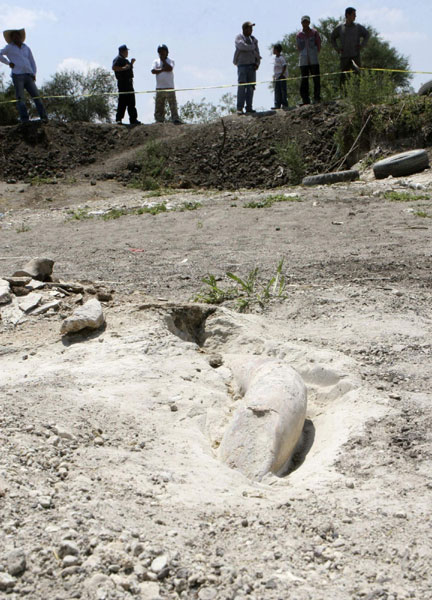 Tusk of mammoth may be found in Mexico