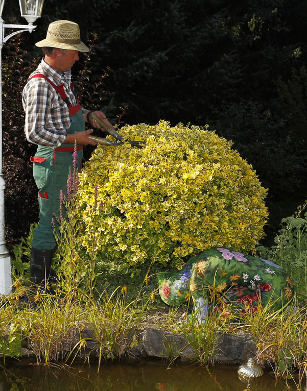 When a gardener meets a floral fairy