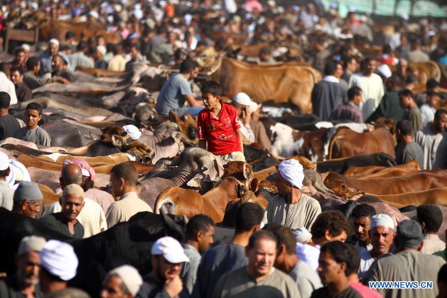 Muslims to celebrate Eid al-Adha in Cairo, Egypt