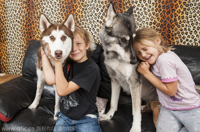 Animal crackers - family shares home with 145 pets