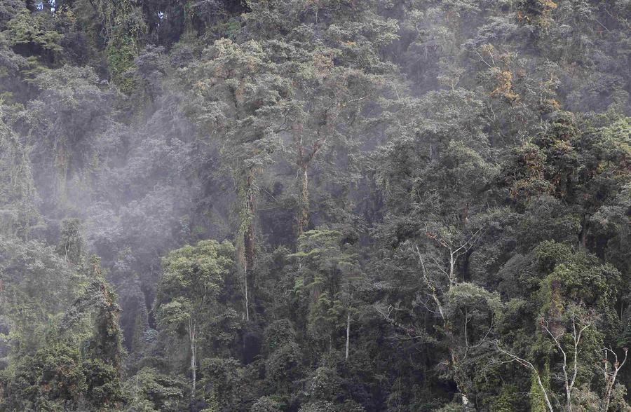 Costa Rica's Turrialba volcano erupts