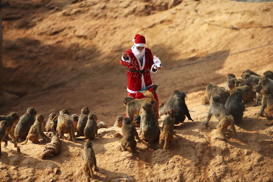 Riding with Santa Claus around the world