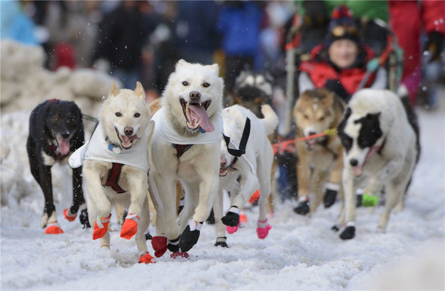 The world in photos: March 2 - March 8