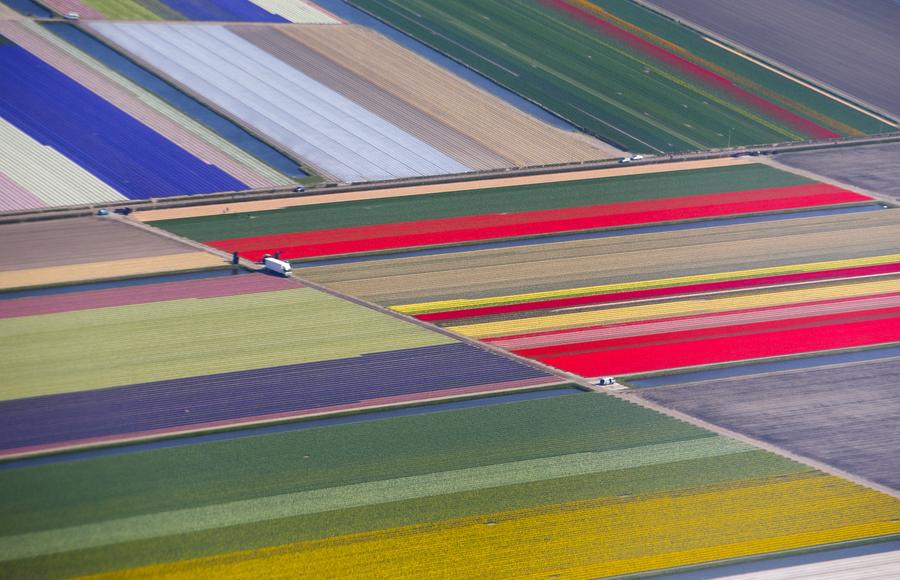 Reuters' most popular Instagram photos of 2015