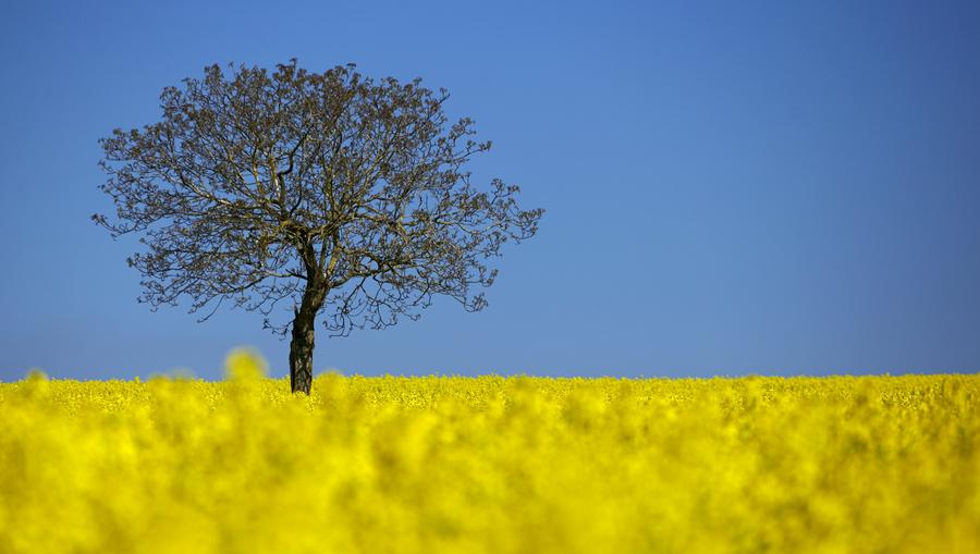 Reuters' most popular Instagram photos of 2015