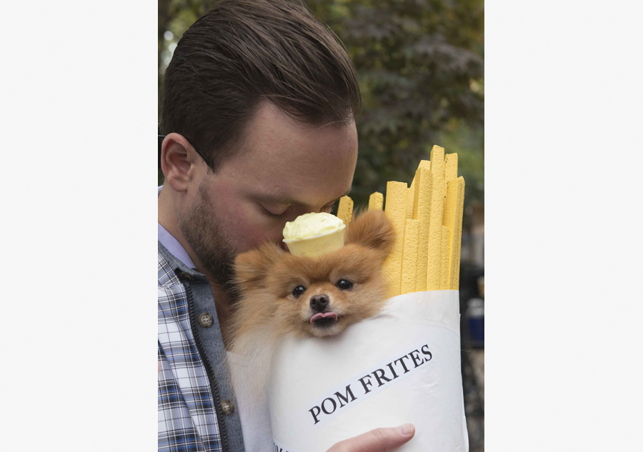 Halloween Dog Parade held in New York