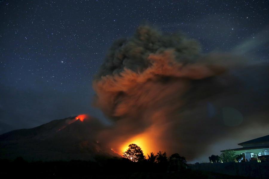 Reuters images of the year - the natural world