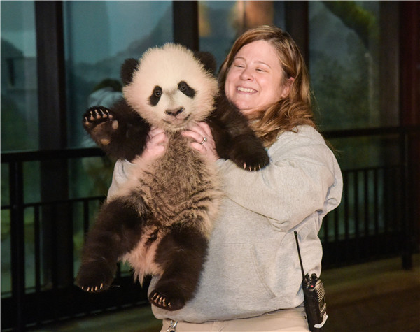 4-month-old Panda 'Bei Bei' receives physical examination