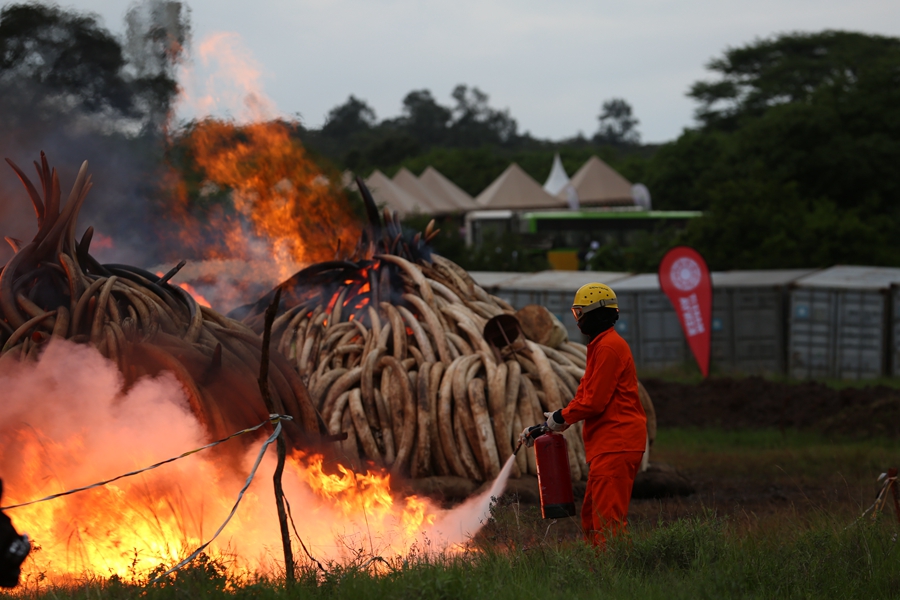 Kenya burns ivory in stand against illegal trade