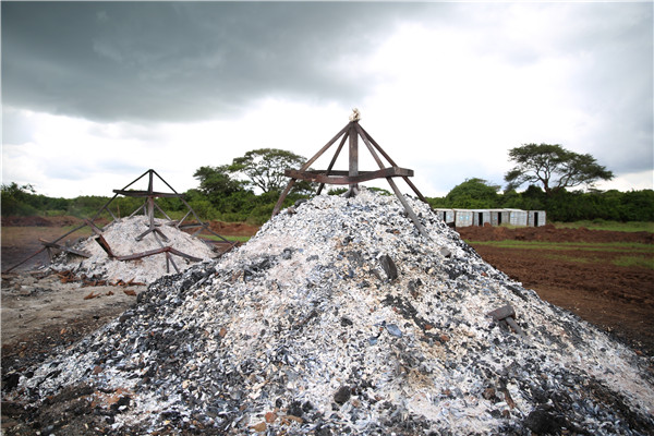 Ivory burning won't increase price: Kenya wildlife chief