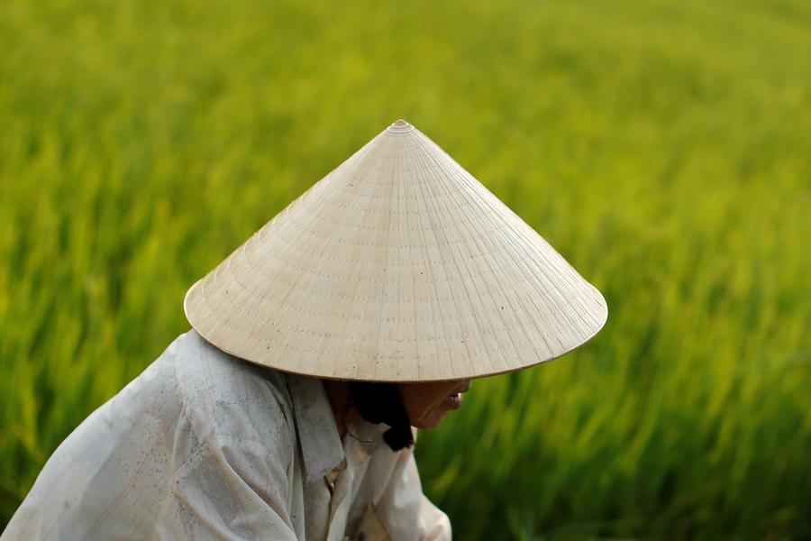 In photos: Vietnam's iconic non la hats