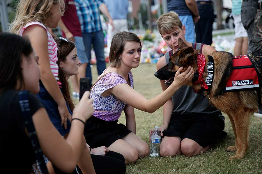 Therapy dog helps comfort mourners in Orlando