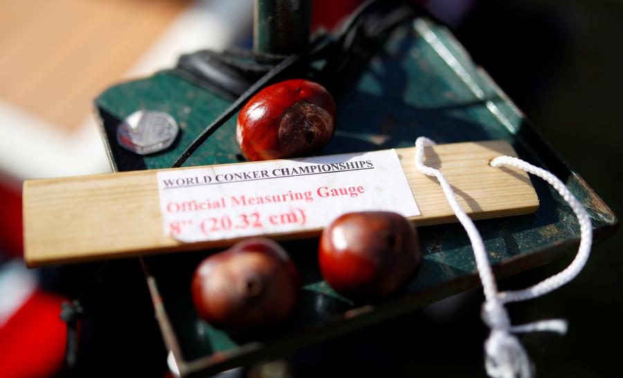 World Conker Championships kicks off in England