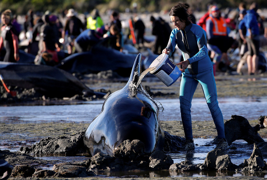 The world in photos: Feb 6 - 12