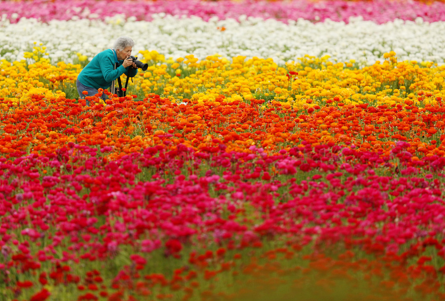 The world in photos: March 20 - March 26