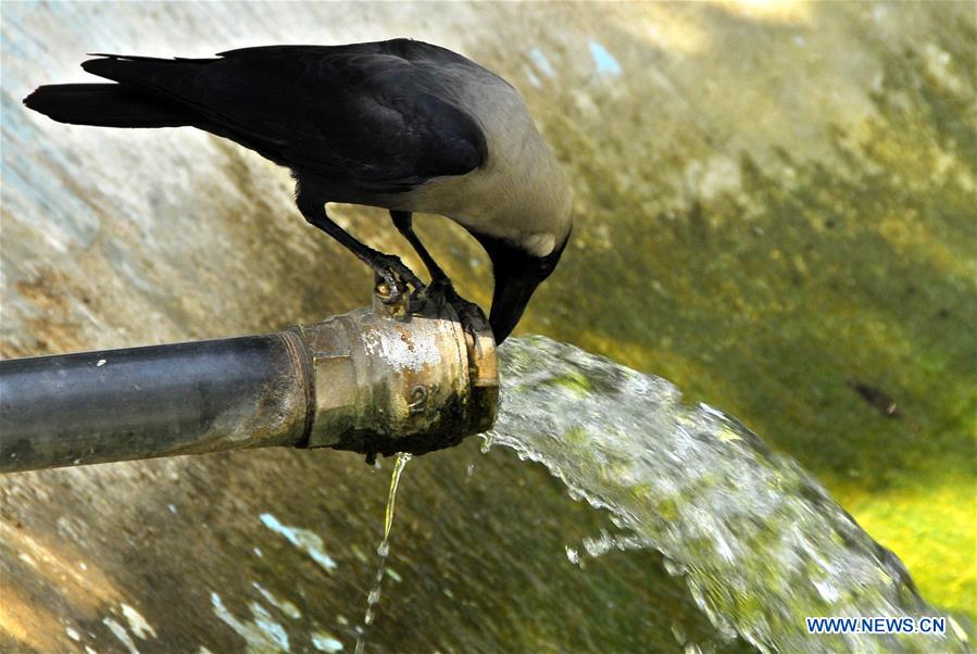 Heat wave hits Islamabad, Pakistan