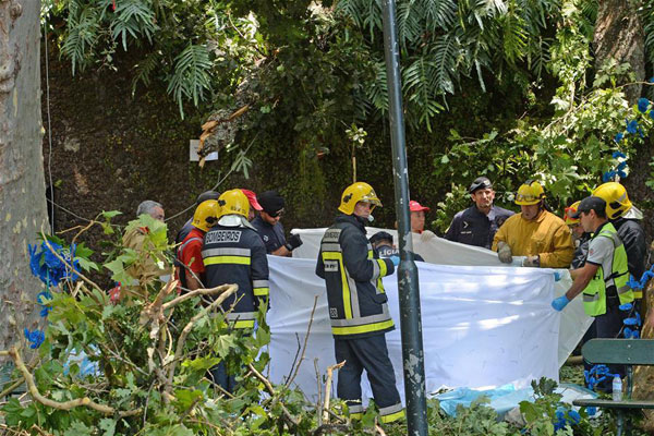 Tree falls on Portugal's Madeira Island, killing 13