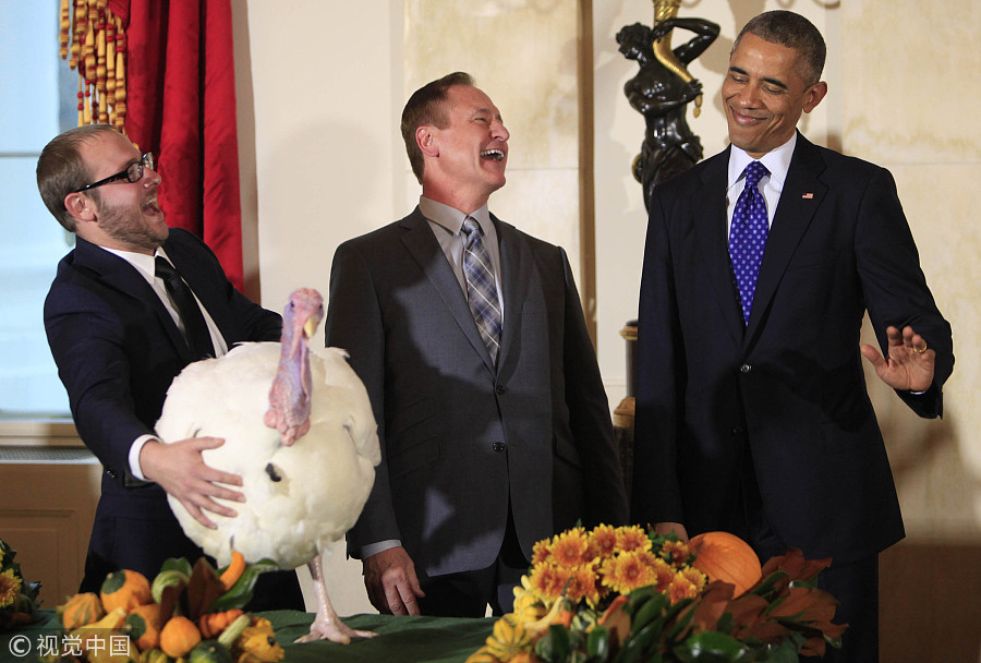 Thanksgiving story: US presidents and pardoned turkeys