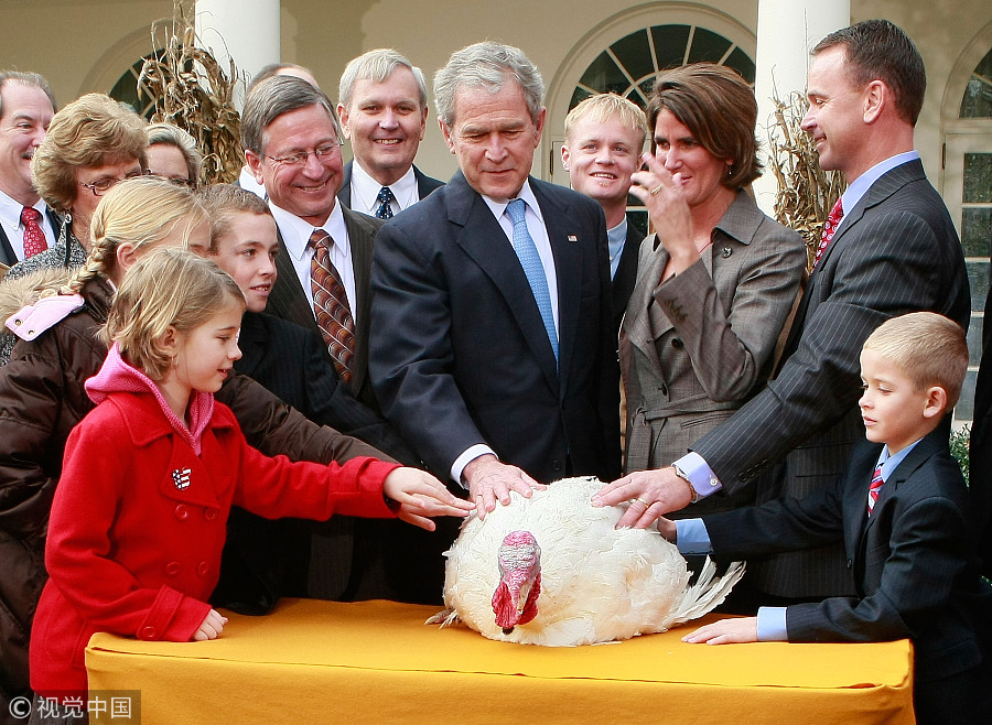 Thanksgiving story: US presidents and pardoned turkeys