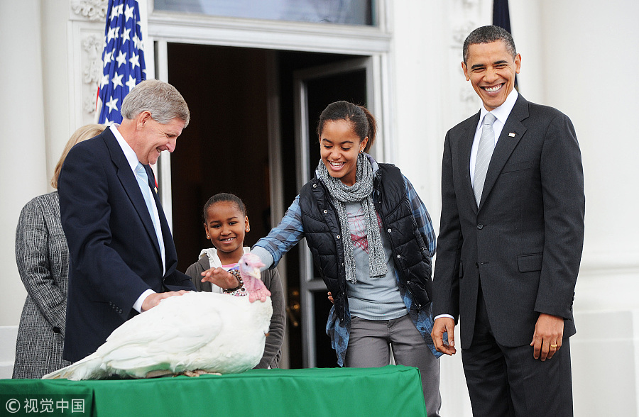 Thanksgiving story: US presidents and pardoned turkeys